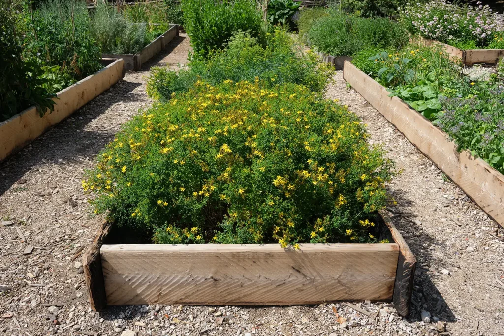Nancys Garden Blog Raised Flower Bed