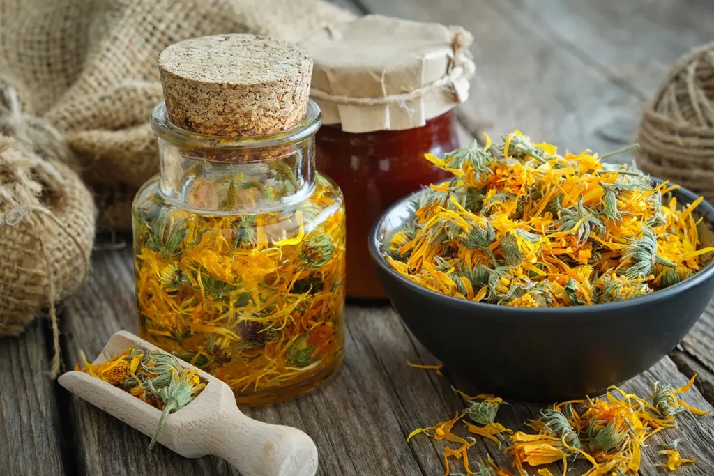 NancysGarden calendula